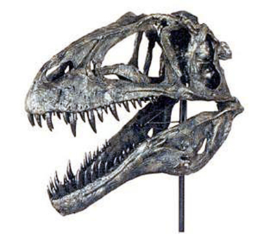 アクロカントサウルス