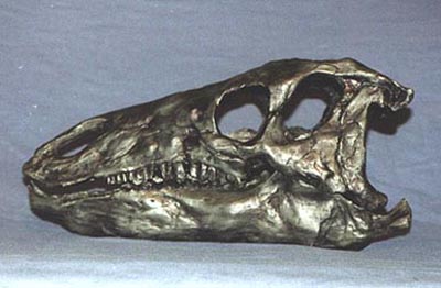 カンプトサウルス