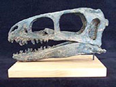 コエルロサウルス