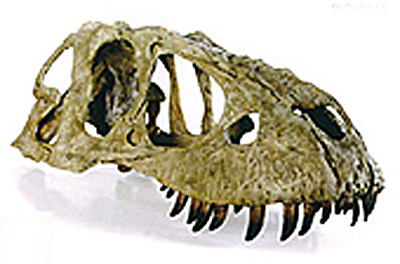 マレーボサウルス
